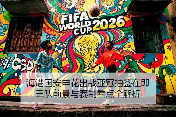 海港国安申花出战亚冠抽签在即 三队前景与赛制看点全解析 - aiyouxi