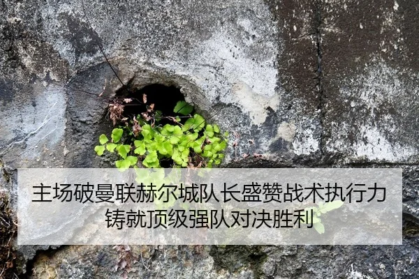 主场破曼联赫尔城队长盛赞战术执行力铸就顶级强队对决胜利 - aiyouxi