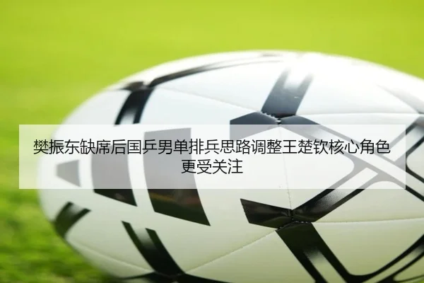 樊振东缺席后国乒男单排兵思路调整王楚钦核心角色更受关注 - aiyouxi