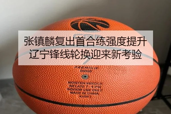 张镇麟复出首合练强度提升 辽宁锋线轮换迎来新考验 - aiyouxi
