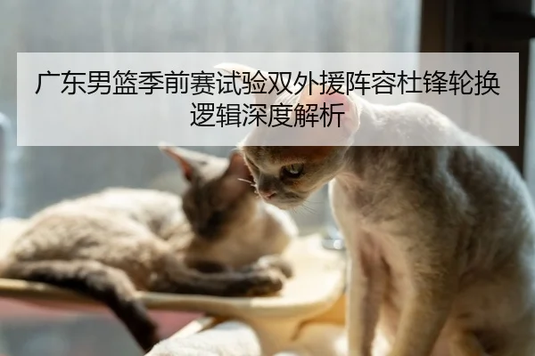 广东男篮季前赛试验双外援阵容杜锋轮换逻辑深度解析 - aiyouxi